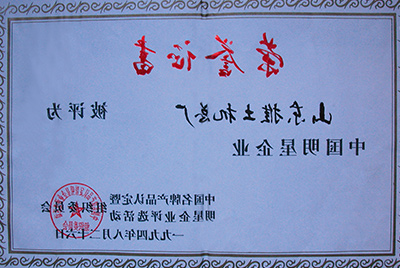 同年被评为中国明星企业
